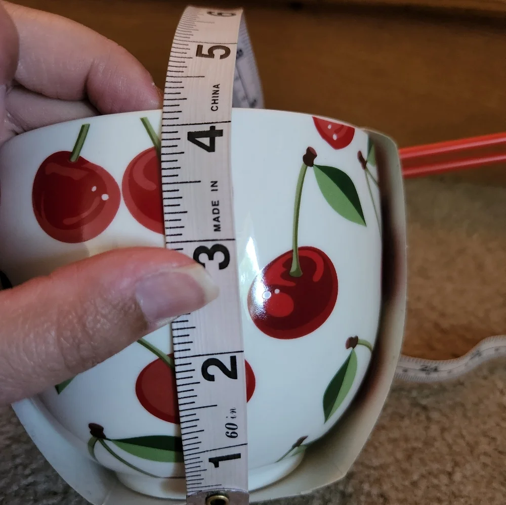 Coco+Lola Cherries Noodle Bowl Small Ceramic With Chopsticks New